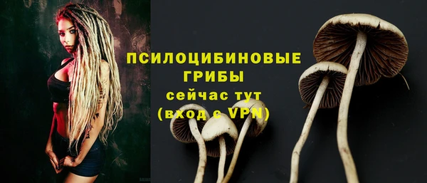прущая мука Баксан