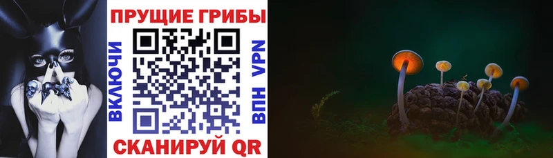 Галлюциногенные грибы Cubensis  Голицыно 